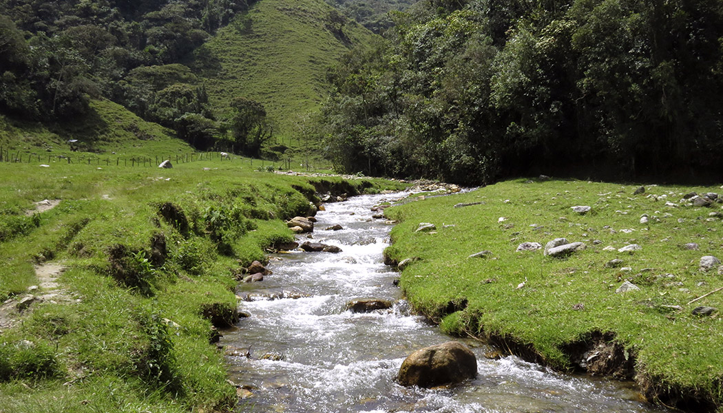 sanmiguelportada1 Esfera Viva