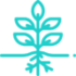 plant plant